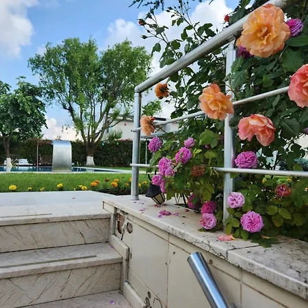 Piano Вилла *