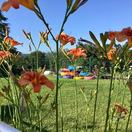 Piano Villa Gebze