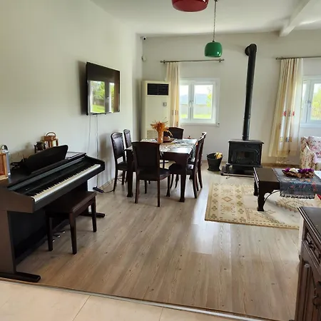 Piano 게브제